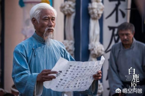 白鹿原停播:电视剧《白鹿原》为什么收视率不高呢？