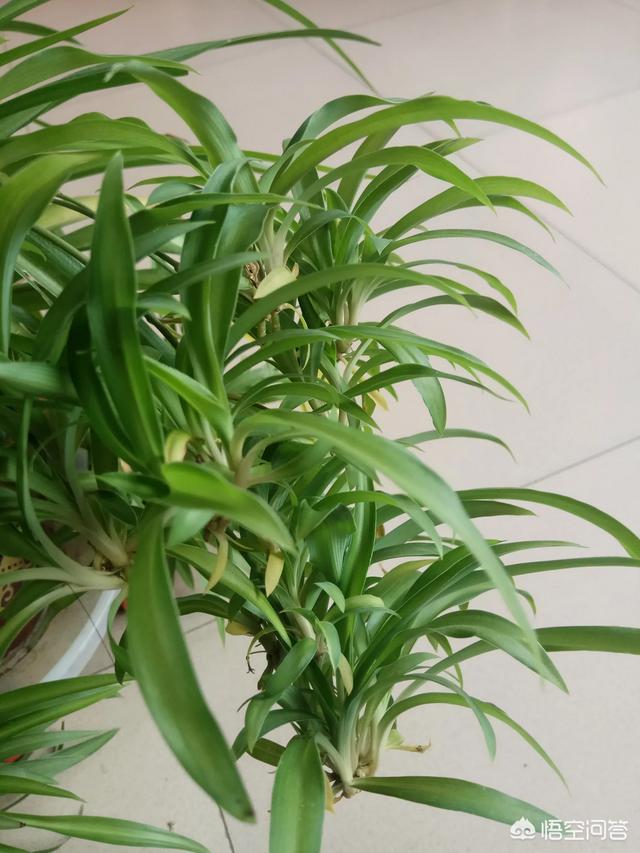 “事在人为,休言万般皆是命；境由心造,退后一步自然宽”,你怎么看待这句话？