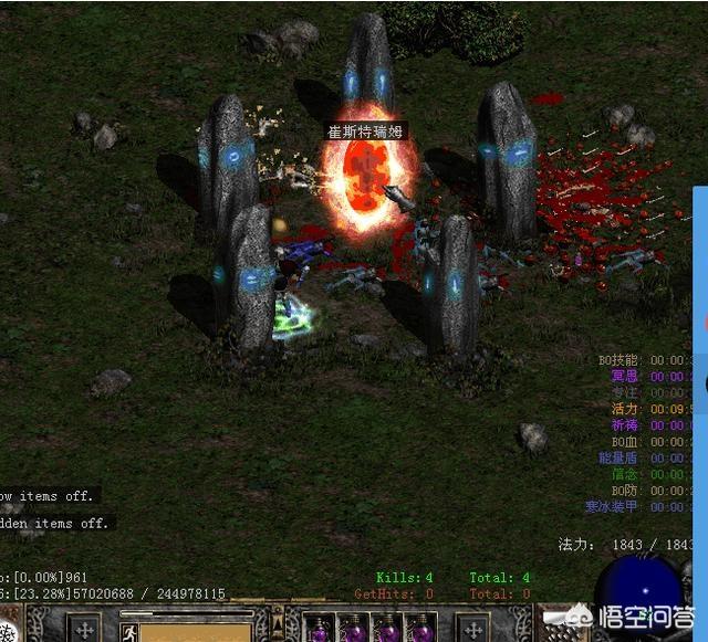 《暗黑破坏神2》当年都有些什么经典玩法？插图20