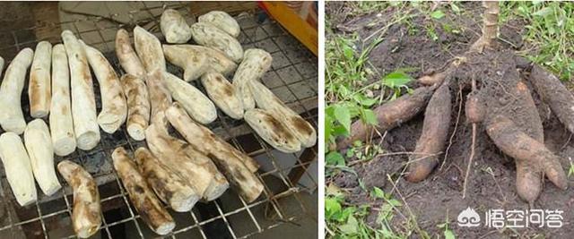 非洲人一般都吃什么呢？插图83