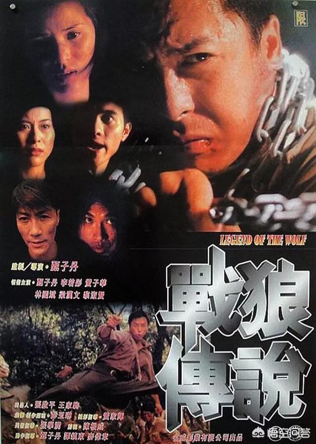 甄子丹演过多少部电影 分别叫什么 飞扬视线的回答 头条问答