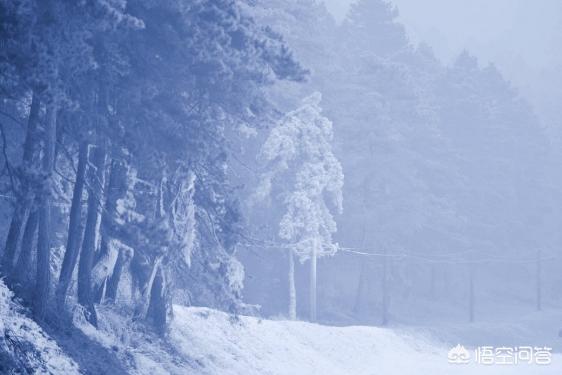 唐僧最后是怎么死的?有何记载?插图 唐僧最后是怎么死的?有何记载?插图