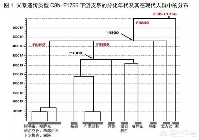 鲜卑族的姓氏:北魏是由鲜卑人建立的，今鲜卑族何在？