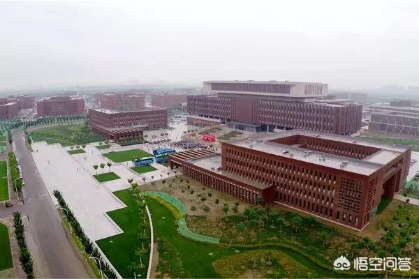 天津滨海獒园新獒:成吉思汗手下“四杰”，“四狗”，“四骏”分别是谁？