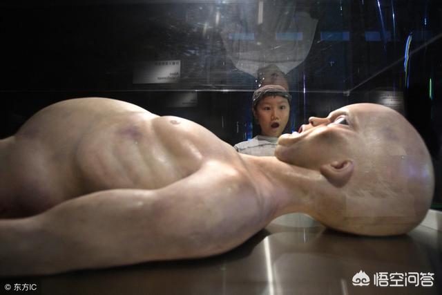 4个外星人来中国 活捉，在美国真的有外星人的遗体吗