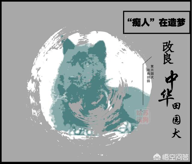 改变世界的犬类下集:狗会成为人类之后新的智慧物种吗？