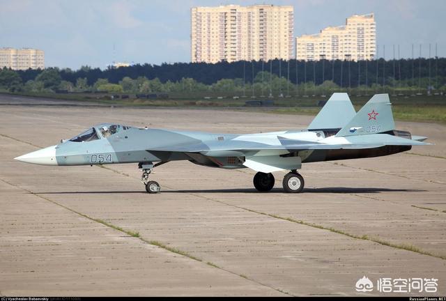 阿根廷巨鸟如同一架小型战斗机:苏57和F35战斗机，哪个更强大？ 巨鸟战斗机