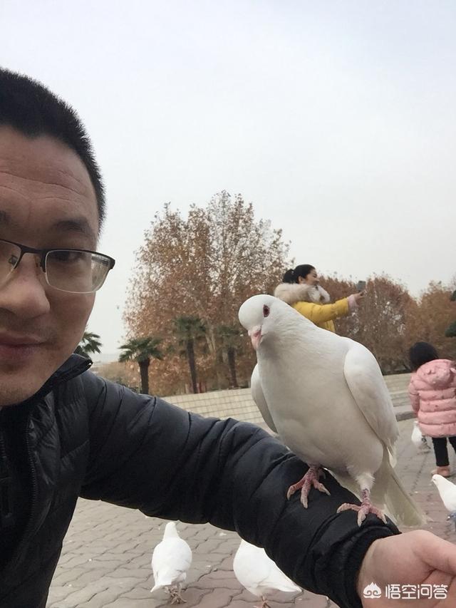 邻居在群里发拼多多的砍价,在砍价成功后为了表示感谢发了一个每份0.01、一共100份的红包,如果是你你会如何看待这件事？