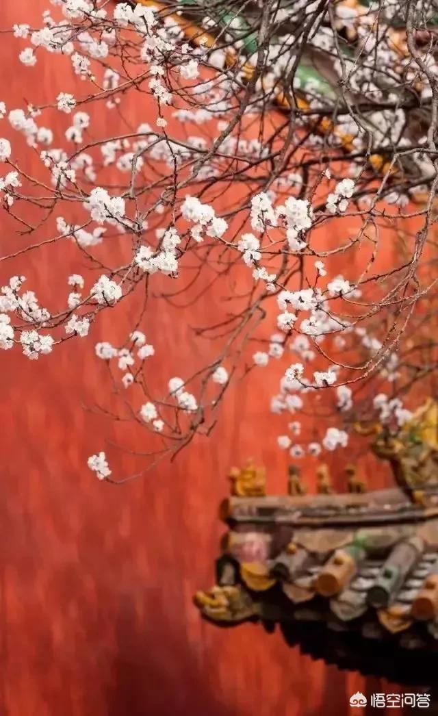 一人男生总对自己的前女友念念不忘,怎么办？