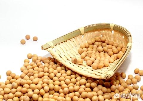 肝病吃黄豆好吗 黄豆有哪些营养价值？乙肝病人可以经常吃黄豆吗？