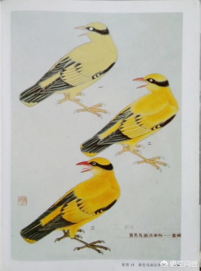 工笔花鸟:画国画花鸟用什么纸比较好？