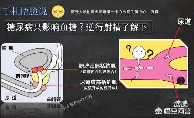 男人吃大蒜会壮阳吗，备孕的时候，男性多吃哪些食物可以提高精子的成活率？