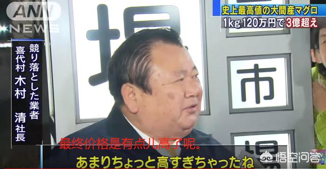 黑鳍蛇鲭是海狼嘛:皇帝岛潜水是种什么体验？