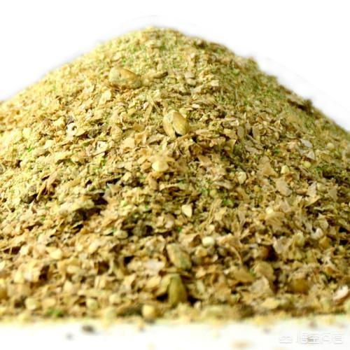 电光美人鱼会群游吗:在水库钓鱼，是用自制窝料好还是用商品窝料好？