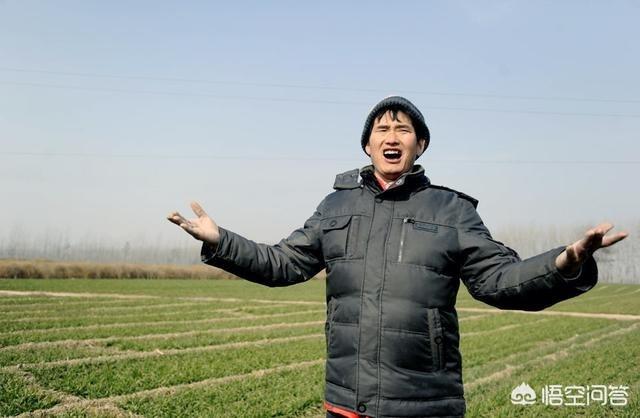 星光大道杜文婷:《星光大道》主持人终于确定！重新回归！有你期待的人吗