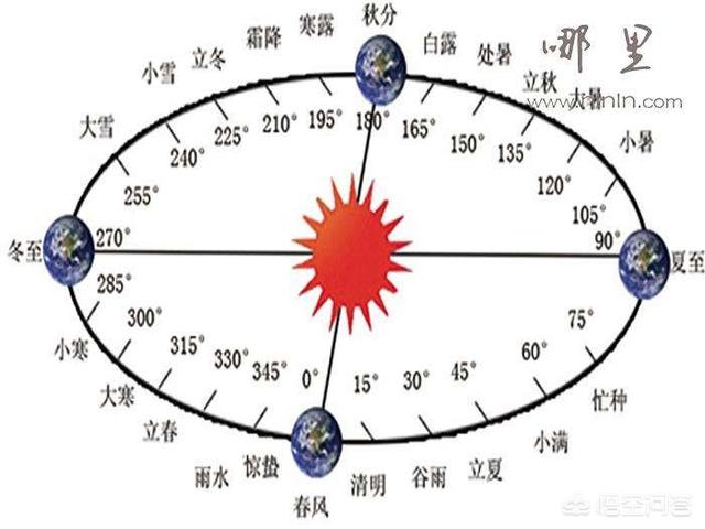 福氏耐格里变形虫:“中国年”的文化内涵是什么
