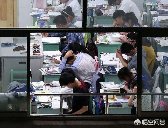 大学校园出现一只监考猫:如何看待大学期末考试的疯狂抄袭现象呢？