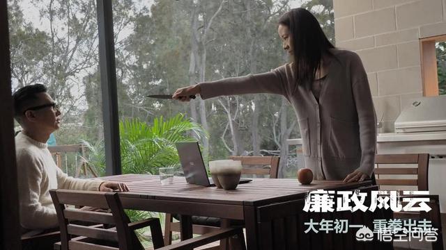 观鸟大年主演:电影《廉政风云》中有哪些容易忽视的细节？