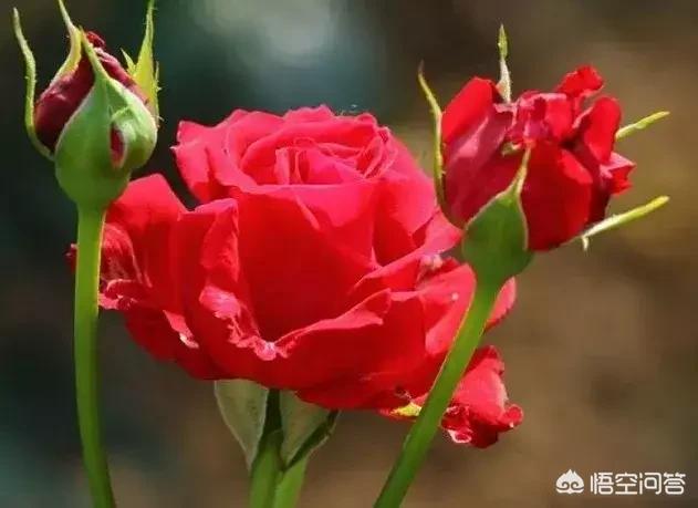未来10年,中国最赚钱的行业是什么,你们怎么看？