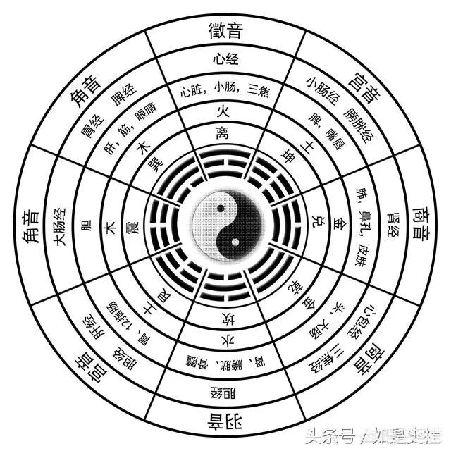 五运六气中的五音：宮、商、角、徵、羽的基础内容是什么