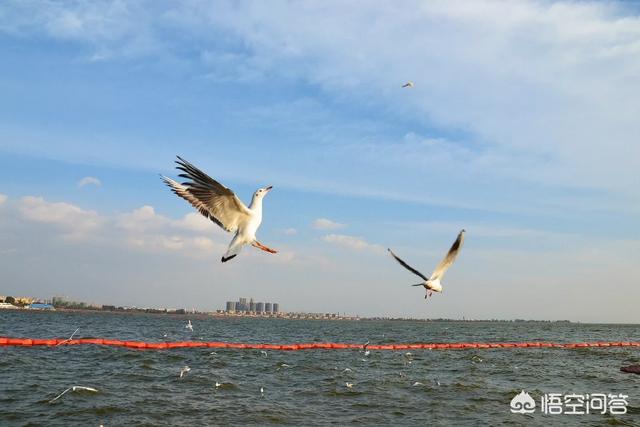 冬天的云南,有哪些适合旅行的地方？