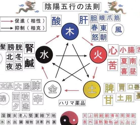 中国的五行是怎么得出来的？插图15