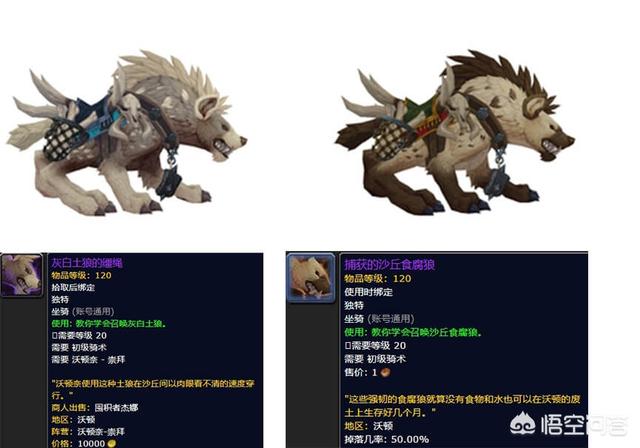 wow缰绳来袭2:wow无敌的缰绳 《魔兽世界》现版本可以通过刷声望来取得的坐骑有哪些？