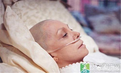风来客海藻味洁齿骨的特点:白色狗狗成长过程中毛发变黄了是怎么回事？怎么办？