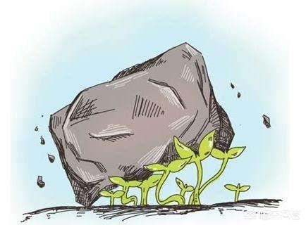 新东方总裁:张雨婷关于女性犯错的论调比俞敏洪的还要绝，为何骂声不及他？