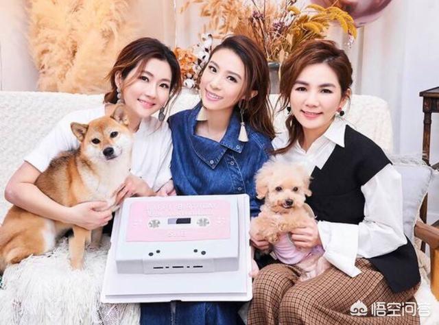 草蜢成员:你认为哪个华语组合成员关系最好