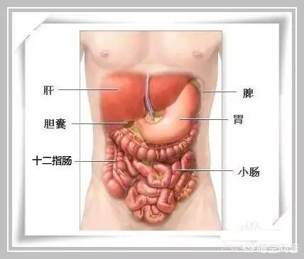 俗话说的肝胆相照是什么意思为什么