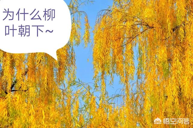 秦始皇陵兵马俑手中的武器在哪里？