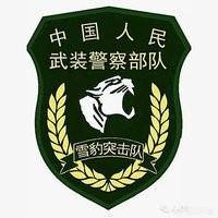 武警、特警和特种部队有什么区别？什么情况出动武警、特警和特种部队？插图13