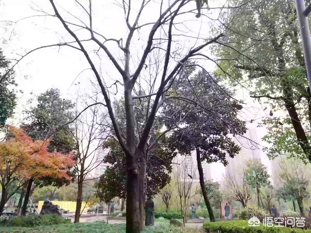 我们经常刷“头条”和“朋友圈”，你从中得到了什么