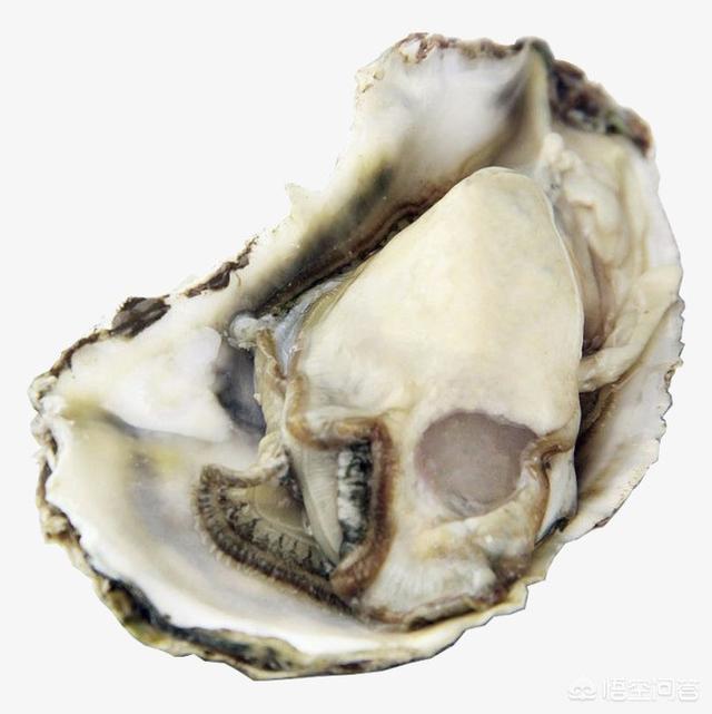 牡蛎剥开以后体内黑东西能吃吗？
