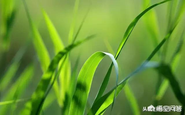 你有遇到过哪些办公室里特别<a href=https://maguai.com/list/39-0-0.html target=_blank class=infotextkey><a href=https://maguai.com/list/39-0-0.html target=_blank class=infotextkey>搞笑</a></a>的事情(关于办公室的<a href=https://maguai.com/list/39-0-0.html target=_blank class=infotextkey><a href=https://maguai.com/list/39-0-0.html target=_blank class=infotextkey>搞笑</a></a>段子)