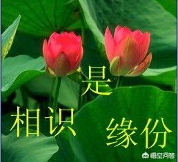 山东泰安16岁伴娘:遇到哪些事情让你开始相信缘分了？