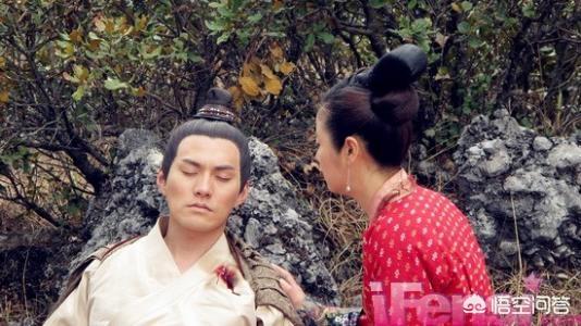 欢喜来逗阵剧情介绍:你们看过的“侮辱人智商”的电视剧有什么？