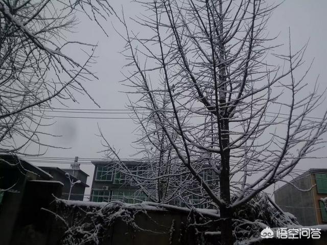 韩安冉为什么离婚:是什么造成现今一些人因为婆媳之间的矛盾而离婚的呢？