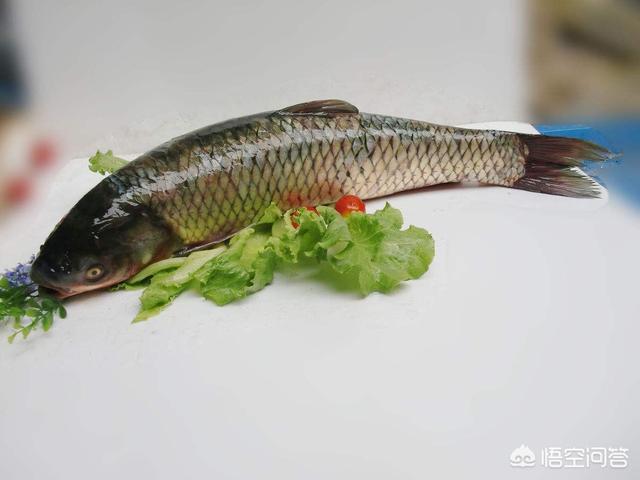 过年吃鱼,怎么做比较好吃？