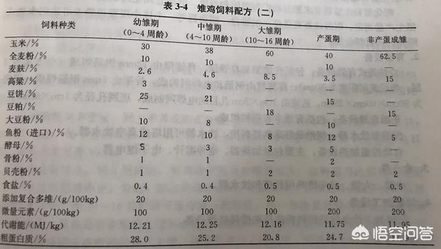 湖北红腹锦鸡养殖基地:福建哪儿有梅花鹿养殖基地？