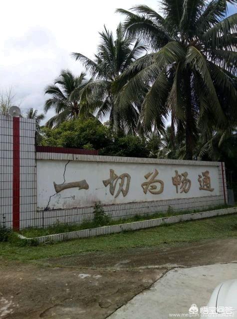军人基友qq群:有人突然把你拉进了一个同志群，你该怎么办？