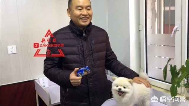 哈尔滨市养犬办公事:想从哈尔滨带宠物坐飞机，都需要准备什么？
