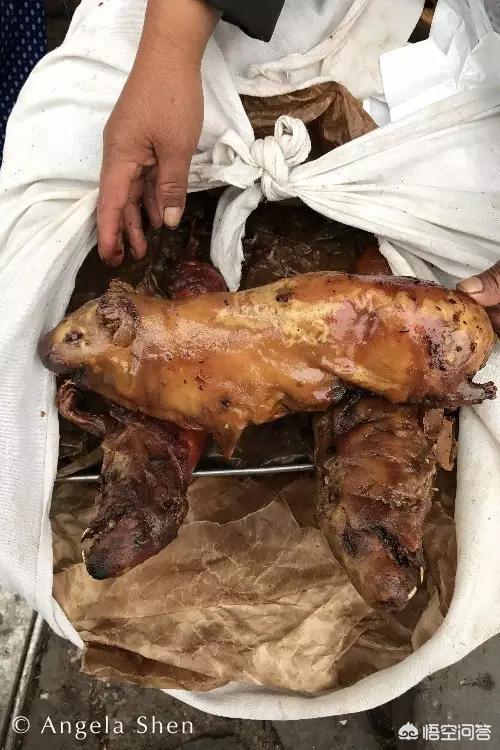 食用黑豚鼠价格:荷兰猪能吃吗？该怎么烹饪？