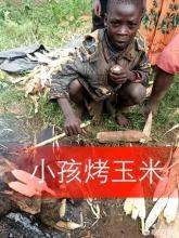 犬姐妹艺文和卡来海维:快手里面的非洲主播为什么都没有了？
