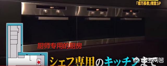 小林麻央:日本的顶级富豪平时都有哪些娱乐方式？