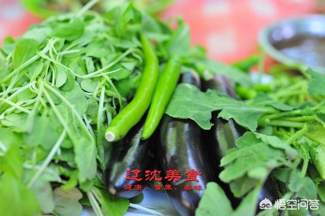 昆莱小雪人 刷小艺:东北人是怎样生活的，平时是吃些什么食物，冬天又是怎么过？
