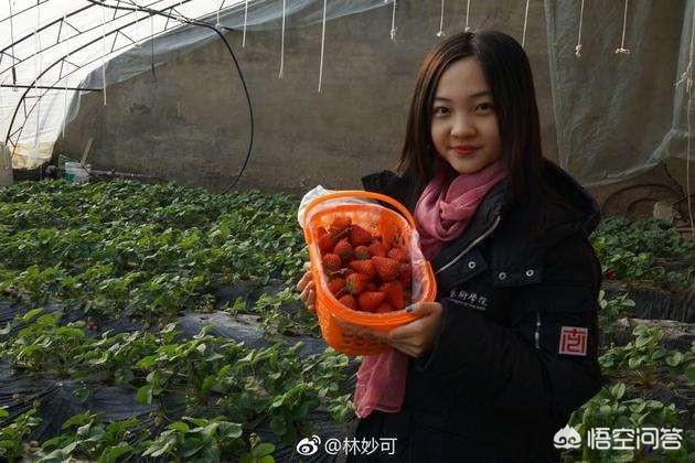 林妙可照片:十二年过去，08年奥运会走红的“奥运女孩”林妙可发展如何