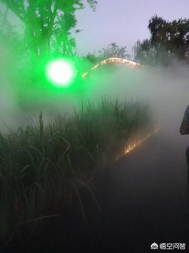 春节放假几天，今年春节放假有什么安排？