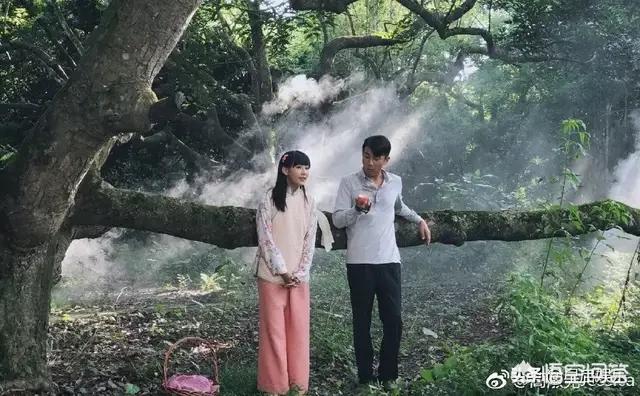 简淑儿:张卫健《大帅哥》已完结，他还有哪些作品待播？